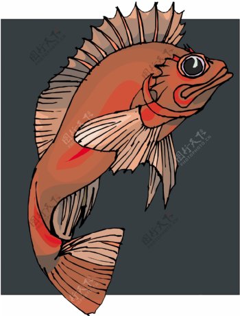 五彩小鱼水生动物矢量素材EPS格式0360