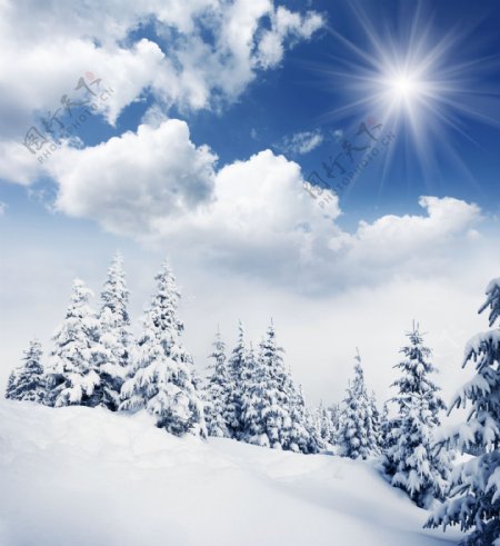 阳光与美丽雪景