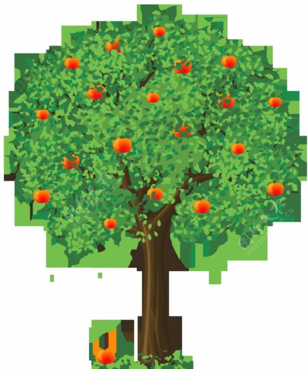 果树插画图片