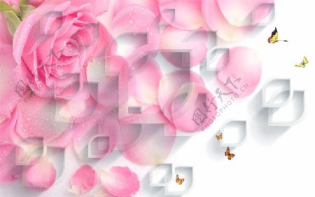 3D玫瑰花瓣海报