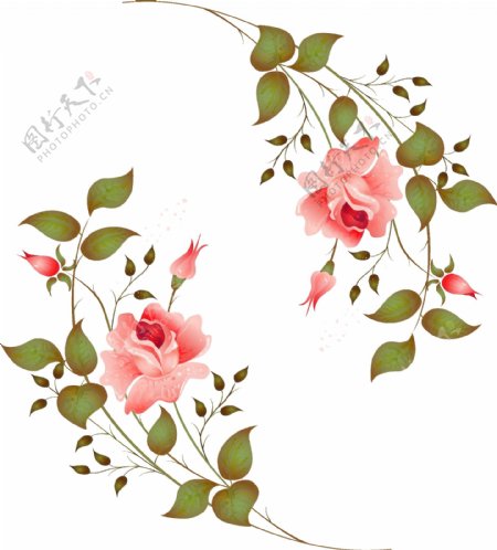 玫瑰花水彩矢量素材图片