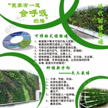 植物墙厂家直销绿墙生态墙素材样式多