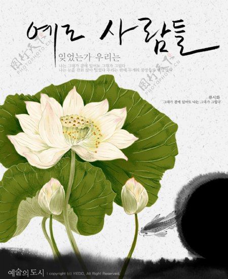 韩国花纹第二季图片
