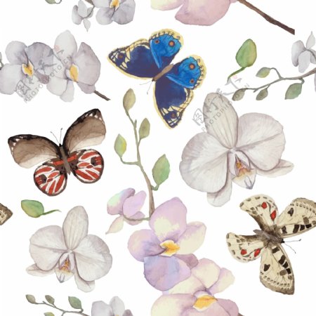 蝴蝶和花朵