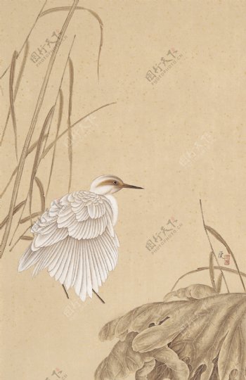 中国古典花鸟画
