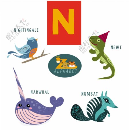 N信与彩色平面设计风格动物自由向量