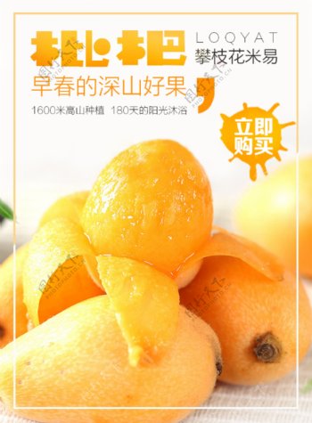 枇杷水果宣传海报