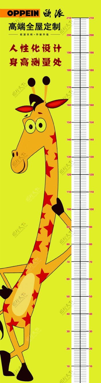 长颈鹿测量身高
