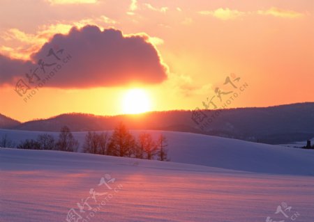 冬天雪景摄影图片