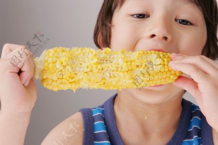吃玉米棒子的小男孩图片