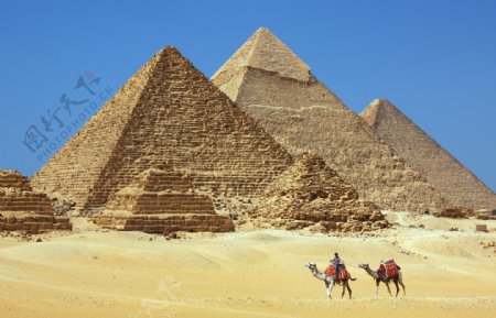 埃及金字塔风景