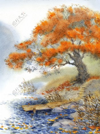秋天风景插画图片