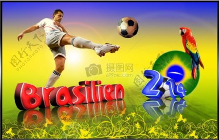 足球巴西2014世界杯世界锦标赛鹦鹉球世界杯体育