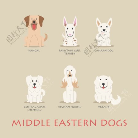 中东可爱卡通狗图标