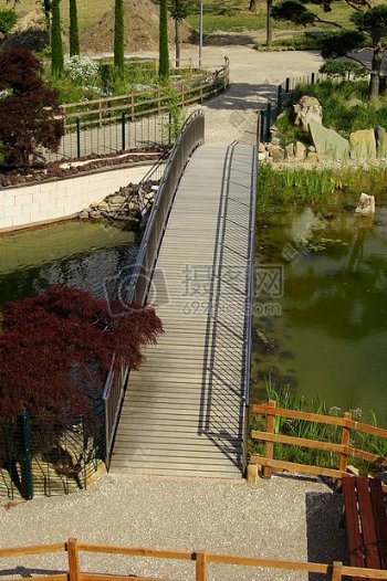 桥公园池塘自然景区