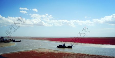 红海滩国家风景廊道图片