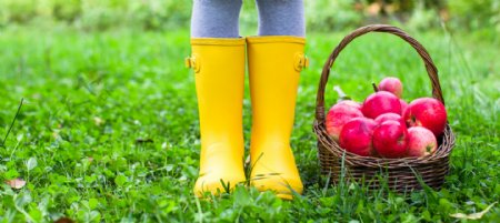 穿雨靴的儿童与苹果