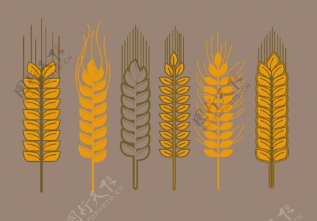 小麦秸秆载体