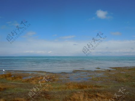 青海湖风景图片