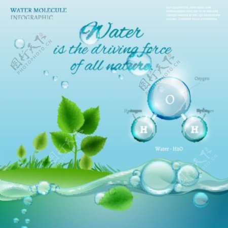 卡通绿叶与水元素图片