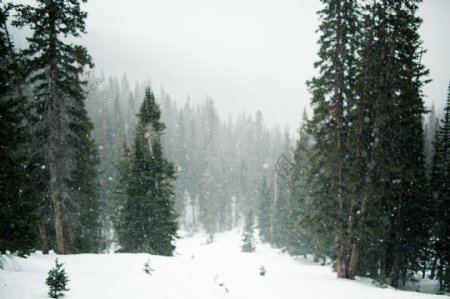 高清冬季雪景图片