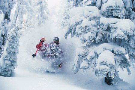 雪地运动员摄影高清图片