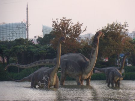 恐龙园一景