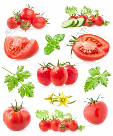 西红柿和薄荷叶高清图片