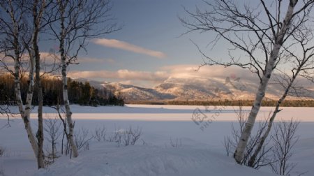 美丽冬天雪地风景图片