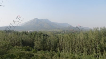 嵩山中岳庙前秋景图片