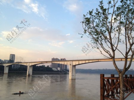 泸州长江大桥图片