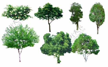 绿色树木景观素材园林图片免费下载
