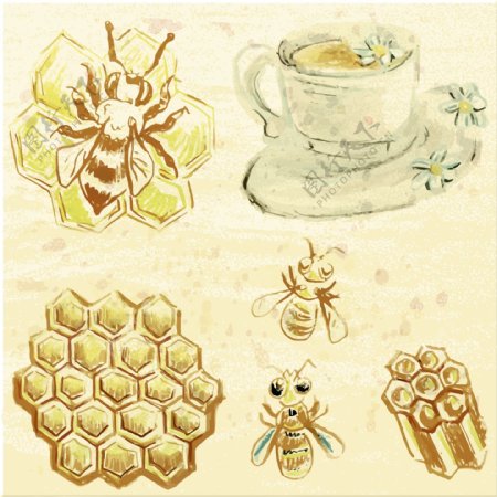 蜂蜜插画