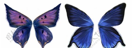 精美蓝色蝴蝶翅膀分层素材