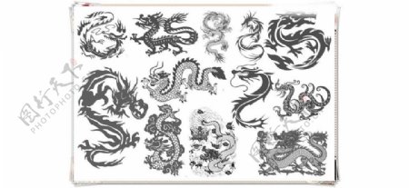 中国风龙纹图案装饰效果笔刷