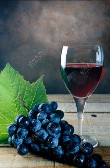 全球首席大百科酒葡萄酒葡萄酿制天然香醇