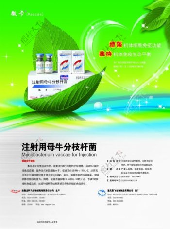 绿色药品宣传海报PSD适用于药品海报设计