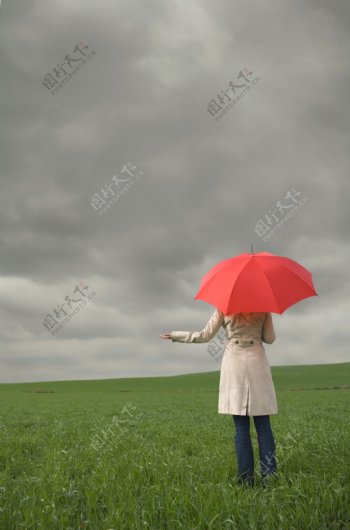 草地上撑伞的美女背影图片