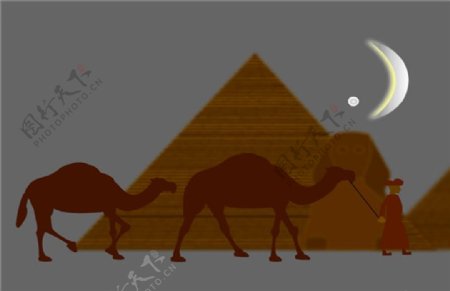 牵着骆驼过金字塔flash