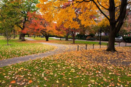 秋天公园风景