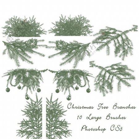 圣诞树的树枝树杈圣诞节装饰PS笔刷素材