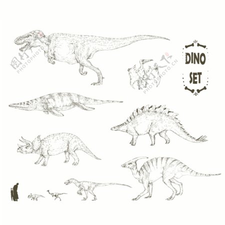恐龙插画合集