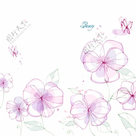 蝴蝶花卉图案