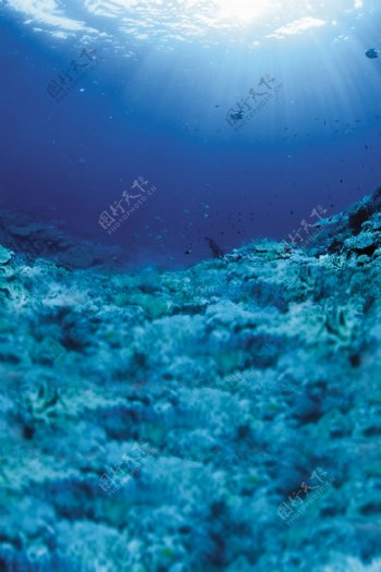 海底风景背景图