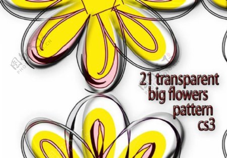 21半透明大花纹花朵图案PS背景填充素材.pat下载