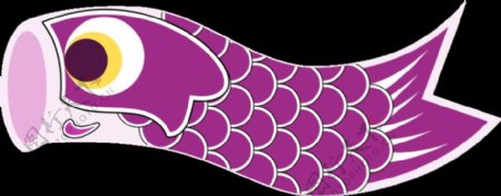 鲤鱼旗紫色