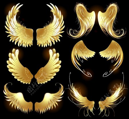 金色羽毛翅膀矢量素材图片