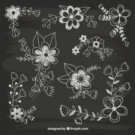 手绘花卉设计