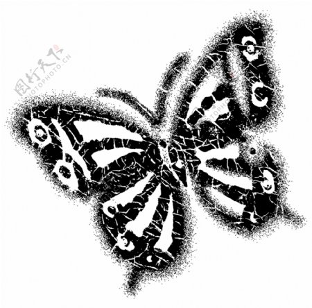 蝴蝶彩绘动物分层PSD0015