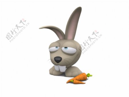 3D兔子